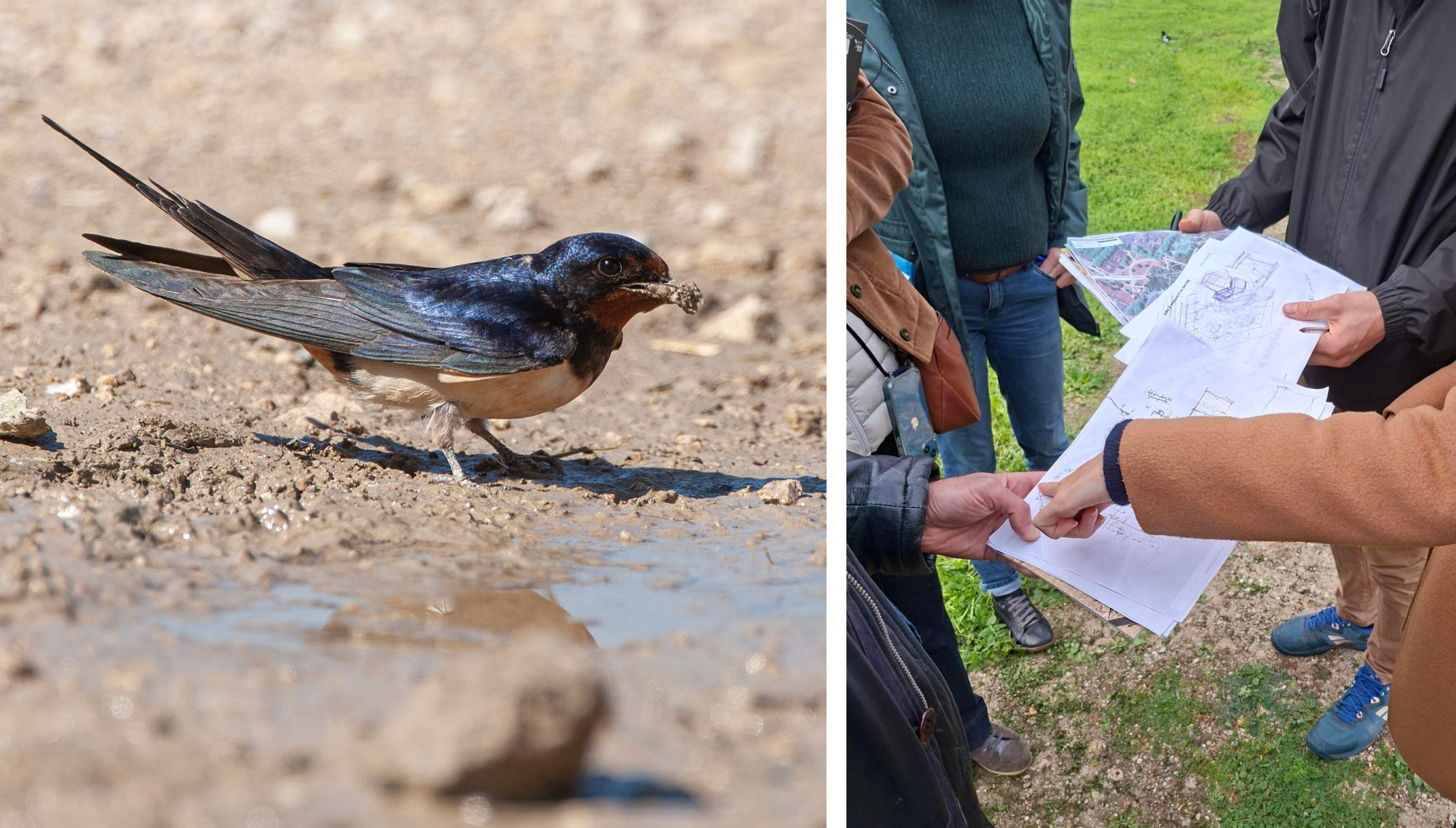 Retour sur la formation « Recyclage urbain et sols vivants »